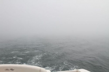 tumblr_31_500