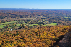 Copy-20211112_143547