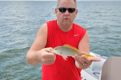 Copy-20220227_111742