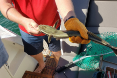 Copy-20220227_113829