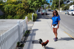 Copy-20220303_142214